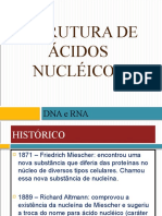 01 - Estrutura de Ácidos Nucléicos