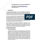 Nutricion y Fertilizacion Del Esparrago 2005