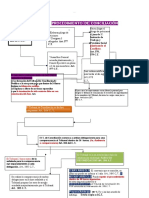 Esquema Conciliacion