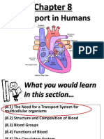 Transport in Humans Powerpoint Slides