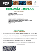 Tema 2 Meristemos V250920