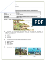 Prueba Diagnosgtico 5 Basico Ciencias Naturales