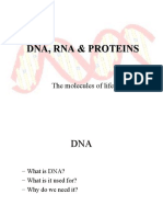 DNA Strucuture and Replication RNA and Protien Synthesis 