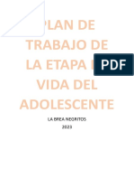 Plan de Trabajo de La Etapa de Vida Del Adolescente