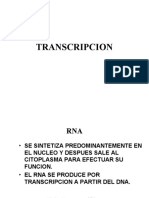 Transcripcion