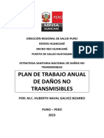 Plan Anual No Transmisibles