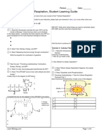 TOPIC 3.4, 3.6 - Cellular Respiration Student Learning Guide (AP Bio)