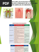 Endodoncia