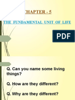 Chapter - 5: The Fundamental Unit of Life