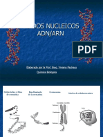 Acidos Nucleicos