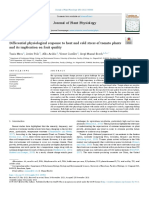 Differential Physiological Response To Heat and Cold Stress of Tomato Plants and Its Implication On Fruit Quality