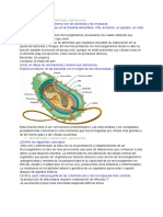 Microbiología e Inmunología. Aplicaciones