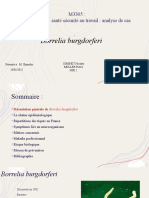 Microbio Borrelia 1