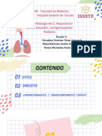 UNAM - Facultad de Medicina ISSSTE - Hospital General de Tacuba Tema: Patología Del S. Respiratorio (Otitis, Sinusistis, Laringotraqueitis) Pediatría