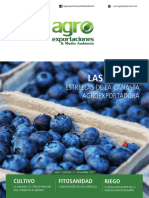 Revista Agroexportaciones & Medio Ambiente #31