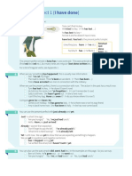 Present Perfect Theory