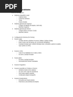 17-03 Osteología Generalidades