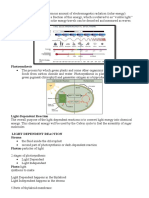 LIGHT DEPENDENT REACTION - Discussrion Ni Maam