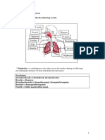 Unit 5. Respiratory System