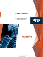 Sistema Respiratorio: Dr. Ricardo A. Gomez Vargas Profesor Catedratico