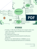 Actividad 