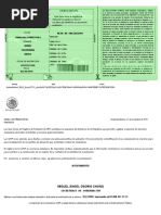 PDF Documento