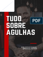 Tudo Sobre Agulhas - Diego Rangel