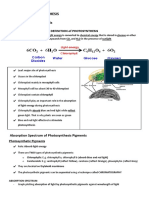 PHOTOSYNTHESIS 