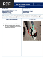 Descrição Do Evento - : Alerta Preliminar de Ssma