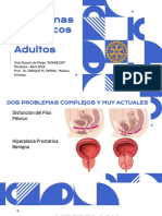 Problemas Urologicos de Los Adultos