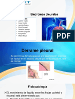 SINDROME PLEURALES GRUPO-2-pao-58