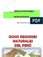 Desarrollo Sostenible Sem 11 PDF