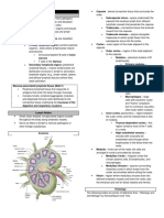 (Transes) Human Histology - 13 Lymphoid System