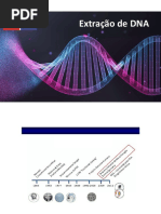 Aula 1 - Extração de DNA