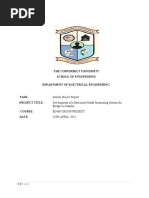 Amended Interim Report Richard Chomba1