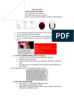 Cata de Vinos PDF