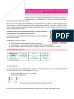 Tema 15 Fisio PDF