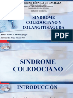 Sindrome Colediciano y Colangitis