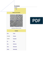 Blastocystis Hominis