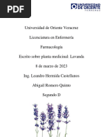 Lavanda, 2do D. Abigail Romero Quinto PDF