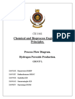 Process Flow Diagram New PDF