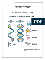 Karthikeya XII-A Chemistry Project PDF