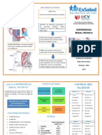 Triptico Enfermedad Renal Cronica