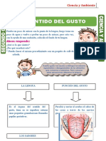 SEMANA 6 Sentido-del-Gusto-para-Segundo-Grado-de-Primaria