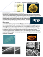 Lecture 5 Handout 2013