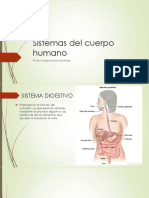 Sistemas Del Cuerpo Humano 9° PDF