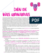 Dr. Espinal - InfecciÃ N de VÃ - As Urinarias PDF