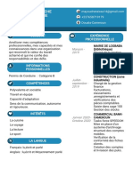 Mon CV PDF