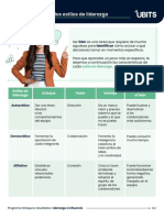 Características de Los Estilos de Liderazgo: Líder Identificar