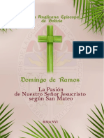 Pasion Copiar PDF